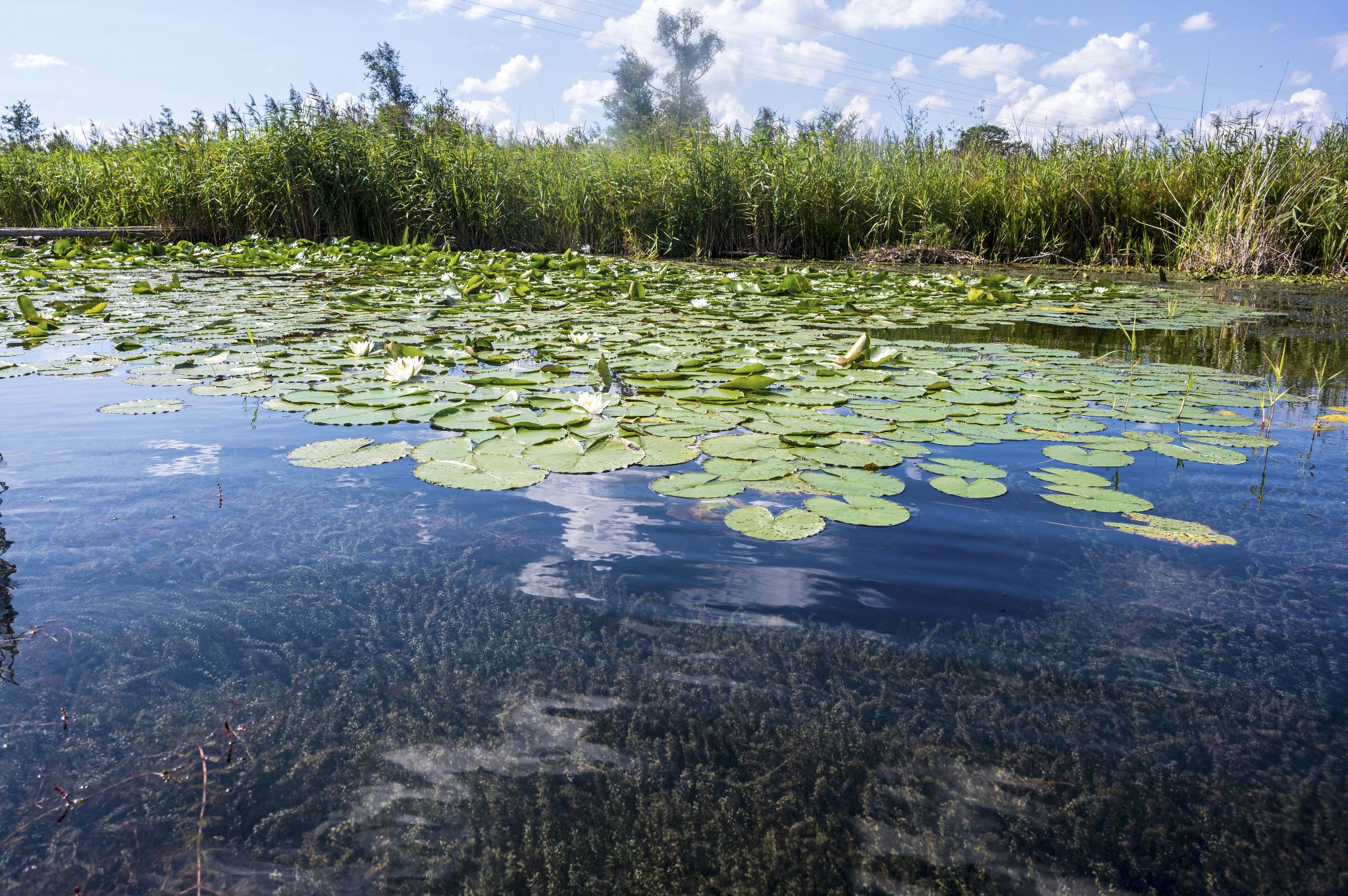 Kajaktour Leutstettner Moos 21.08.2022